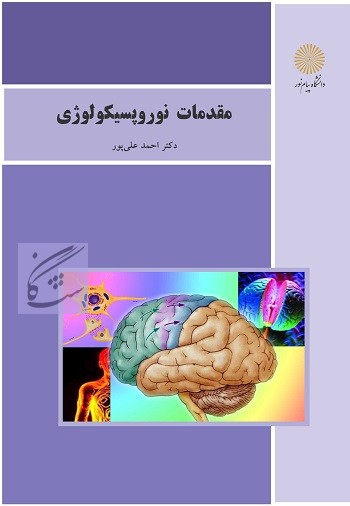 نوروپیسیکولوژی نوشته احمد علی پور